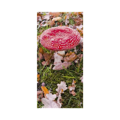 poster-mushroom