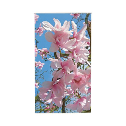 poster-magnolia